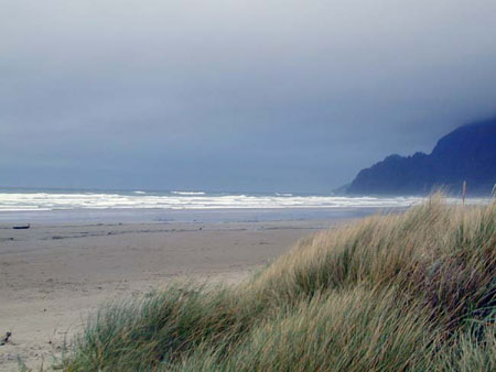 Manzanita dunes