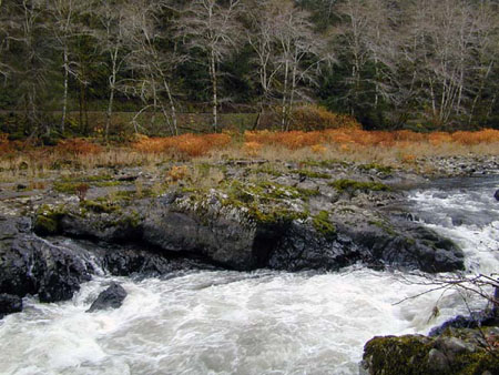 Nehalem river