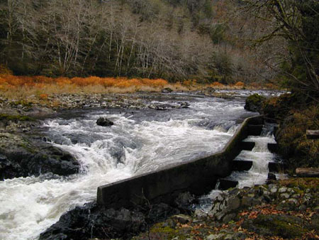 NehalemR_Fish ladder 