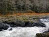 Nehalem river